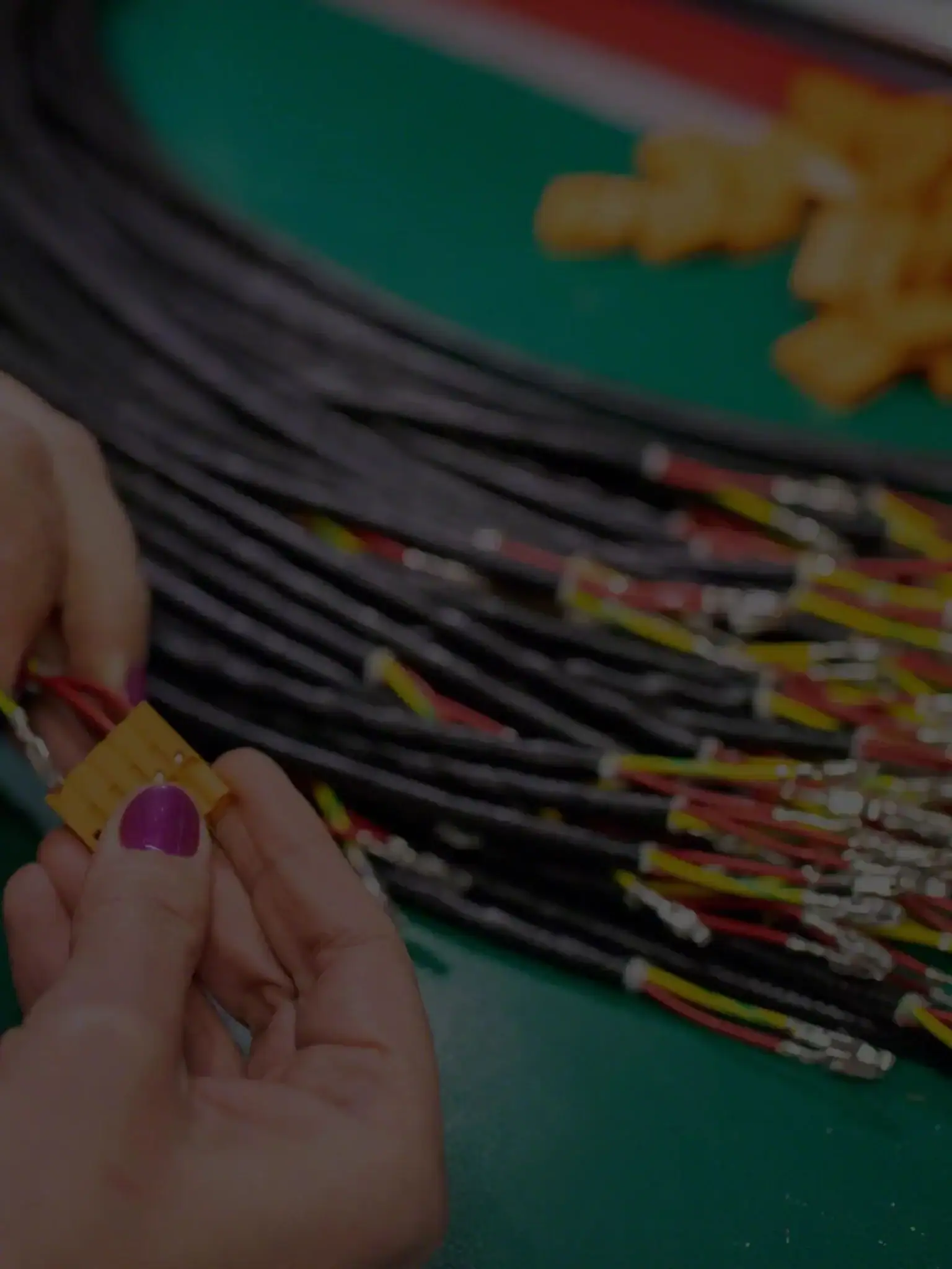 Parts and wiring during robot assembly