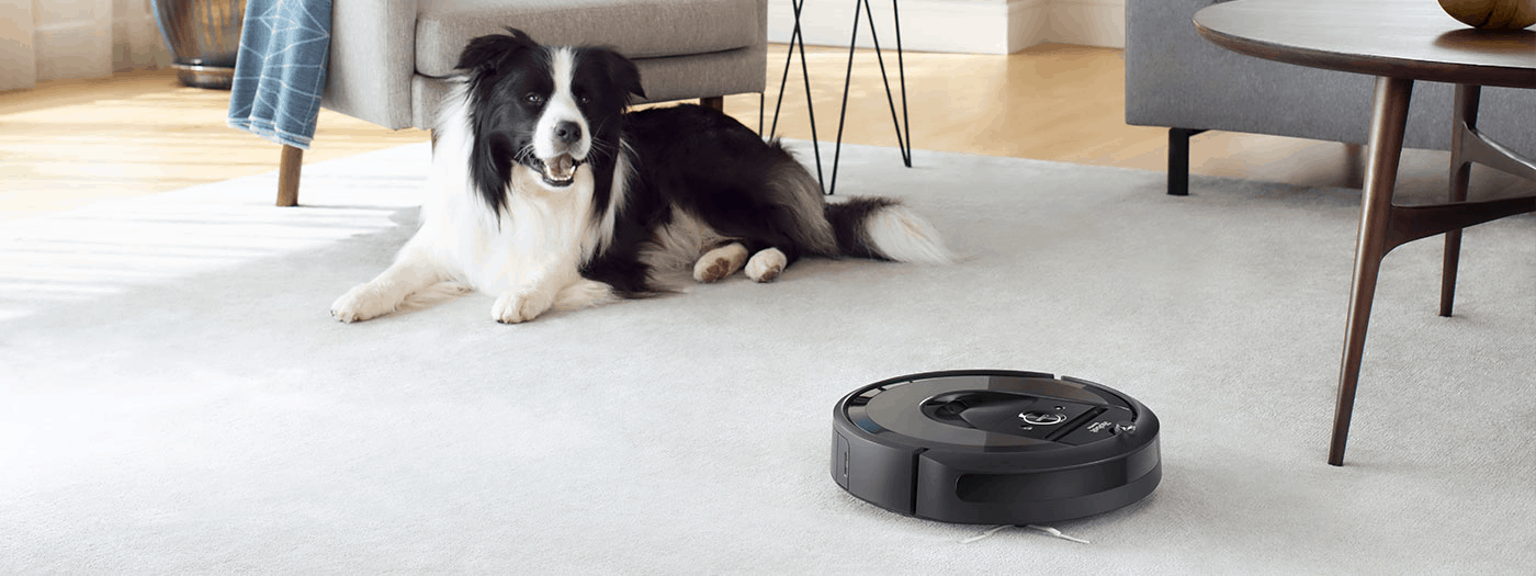 iRobot roomba with a dog at living room